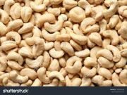 Nigeria Earns $250 Million In Cashew Export, But Only 10 Percent Locally Processed – Minister
