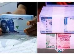 No Plan To Re-Denominate Naira, CBN Spokesman, Dr. Isa Clarifies