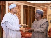 “See Life? A Whole You Lost Senate Seat!” Buhari To Gov Lalong