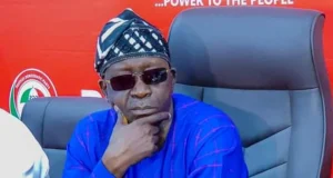 Court Sacks Iyorchia Ayu As PDP National Chairman
