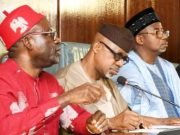 Subsidy Removal: NEC Supports Cost-Of-Living Allowance For Civil Servants