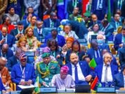 African Leaders Resolve To Pursue Implementation Of E-visa For Free Movements