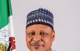 Information Minister Calls On Nigerians Not To Allow Criminal Elements Divide Them