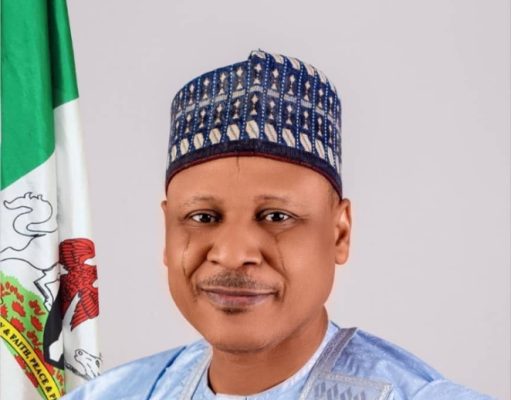 Information Minister Calls On Nigerians Not To Allow Criminal Elements Divide Them