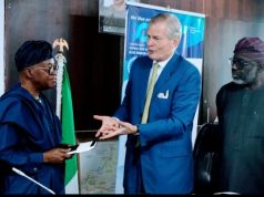 How New Ministry Of Marine Can Create Jobs In Nigeria Through Blue Economy- Prof Pauli