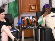 EU Ambassador Disowns Report Of EU Election Observation Mission On Nigeria’s 2023 Polls