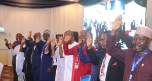 Organized Online Publishers Re-Elects Maureen Chigbo As President, 14 Others