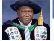 Nigeria’s Economy Can Only Grow Fast With Consensus Of Its Elite, Prof Ochefu Insists