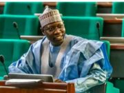 Removal Of Tertiary Institutions From IPPIS: I Didn’t Speak For Reps – Lawmaker