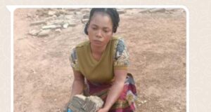 Lady Kidnapper, Janet, Arrested In Taraba, At Point Of Collecting N1.5 Million Ransom