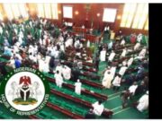 Reps Investigates How NPC Spent N200 Billion For Failed 2023 Population