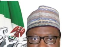 High Cost Of Governance Draining Nigeria’s Resources, Revenue Mobilisation Boss Laments