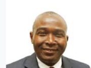 How Executive Order Will Unlock Development Of Non-Associated Gas In Nigeria – NLNG MD