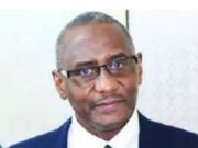 Tinubu’s Economic Team Looks Like Tax Collectors – Prof. Usman