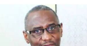 Tinubu’s Economic Team Looks Like Tax Collectors – Prof. Usman