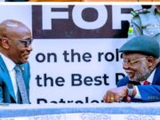 NNPC Limited Boss Calls For Special Court To Try Crude Oil thieves, Pipeline Vandals