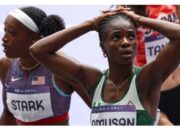 Sports Minister Laments Team Nigeria’s Olympics “Disastrous” Performance In Paris