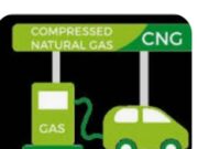 Federal Govt Makes It Mandatory For All Fuel Stations In Nigeria To Instal CNG