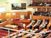 Niger Assembly to Military: Address Bandit Stronghold Near Army Training Grounds