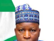 Tijjani Gwarzo Still Grumbles Over His Sack As Minister By President Tinubu