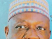 Kogi Central Group Calls On Tinubu, Stakeholders To Intervene In Senate Crisis, Moves To Recall Natasha