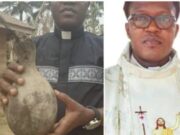 Catholic Priest, Dr. Echezona, Converts From Christianity To Traditional Religion