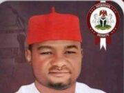 Need To Protect Senate From Political Manipulation And Stop Rewarding Falsehood, By Senator Onyekachi Peter Nwebonyi