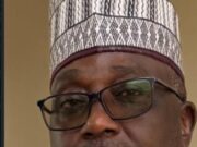 2027: Between Technocratic And Political Jobber, Which Way Yobe? By Usman Abba