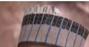 President Tinubu’s Media Aide Resigns