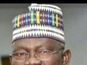 Of Strategic Silence, Strategic Noise And U.S –China Scramble For Nigeria, By Abdulkarim Abdulmalik