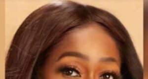 Harassment Of Nigerian Journalist: International Press Organisation Angry With Nigeria Police