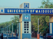 How Politicians Are Bastardizing Nigeria’s Academic Institutions, By Deen Adavize