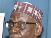 Wordsmith, My Mentor, Dan Agbese Goes Home, By Yusuf Ozi-Usman