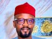 Reps Member, Barr Shehu, Insists On Stopping Implementation Of Altered Tax Reform Law