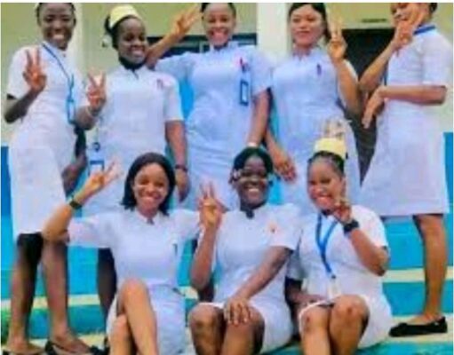 Nurses At General Hospital Kuje Emerge Best Across FCT