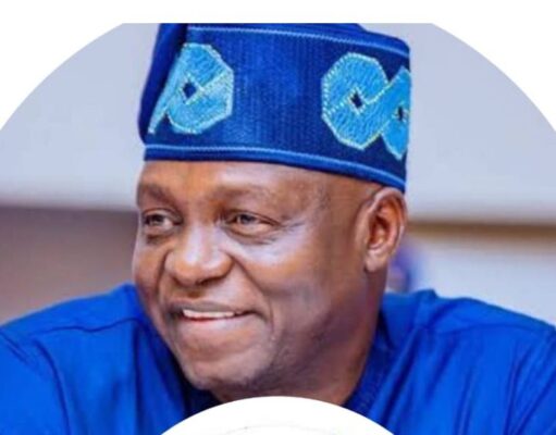 APC National Chairman, Yilwatda Wants Youth To Defend Nigeria’s Democracy