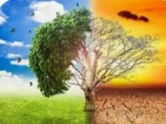 Join Us As We Go More Into Environment, Climate Change
