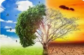 Join Us As We Go More Into Environment, Climate Change