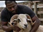 Eid ul-Adha: Timeless Lessons Of Sacrifice, Faith And Humanity, By Abdulkarim Abdulmalik