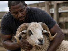 Eid ul-Adha: Timeless Lessons Of Sacrifice, Faith And Humanity, By Abdulkarim Abdulmalik
