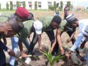School, Others Begin Planting Of 4,000 Trees In Abuja To Mark World Environment Day