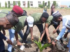 School, Others Begin Planting Of 4,000 Trees In Abuja To Mark World Environment Day