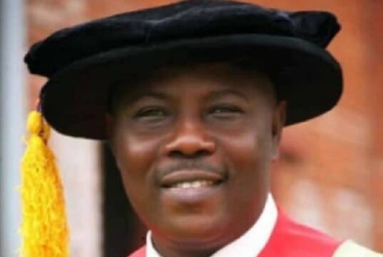 How To Adequately Predict Floods, Manage Climate Risks – Prof Okedeyi