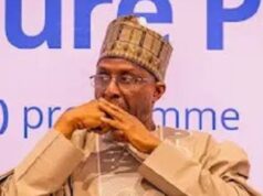 Nigeria Committed To Sustaining Mangrove Ecosystem, Blue Economy – Minister
