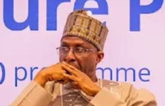 Nigeria Committed To Sustaining Mangrove Ecosystem, Blue Economy – Minister