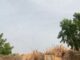 People Live In This Eyesore Debris, In Nigeria