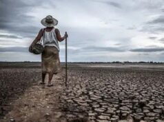 How El Niño Threatens Africa’s Food Systems Amid Climate Crisis, By Emmanuel Harawa