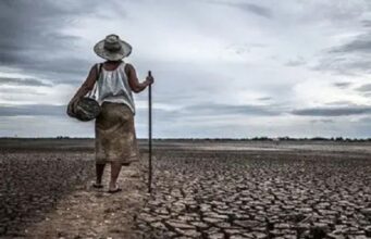 How El Niño Threatens Africa’s Food Systems Amid Climate Crisis, By Emmanuel Harawa