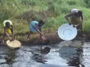 Stop Moves To Resume Oil Exploration In Ogoniland, Over 50 NGOs, CSOs Tell Nigerian Govt