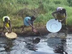 Stop Moves To Resume Oil Exploration In Ogoniland, Over 50 NGOs, CSOs Tell Nigerian Govt